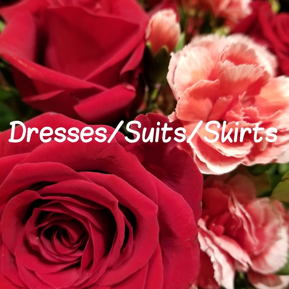 Dresses/Suits/Skirts